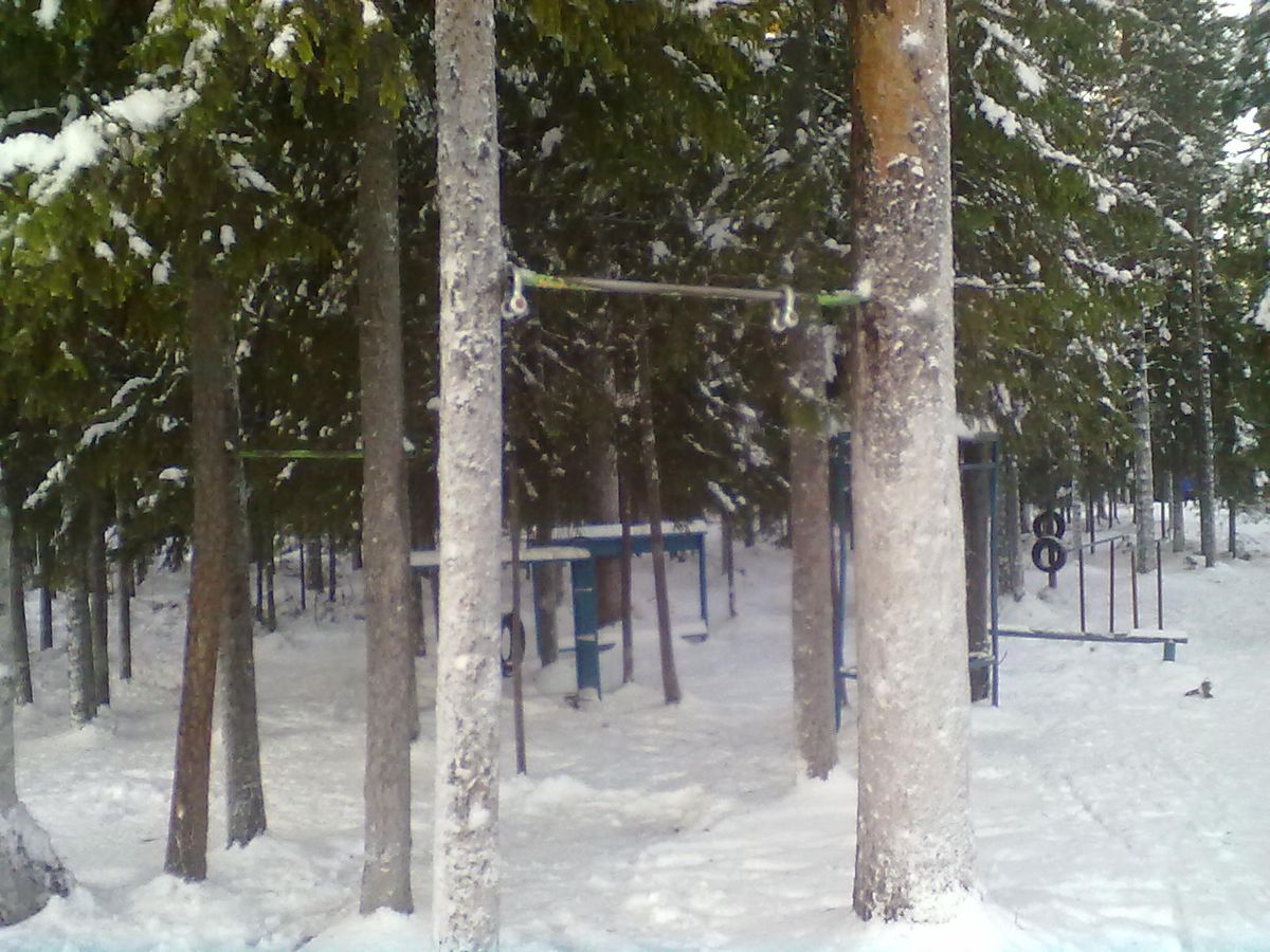 Outdoor Gym - Kostomukshsky - Kostomukshsky - Street Workout Park - Сова - Russia - Spot