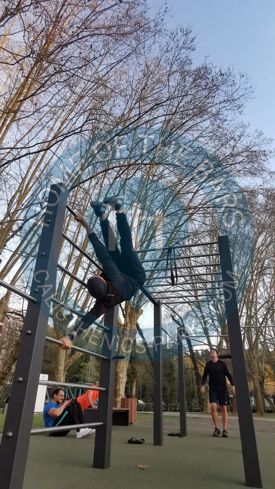 Outdoor Gym - Leiria - Parque Calisthenics Leiria - Portugal - Spot