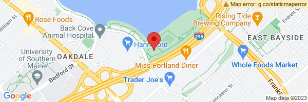 spot maps