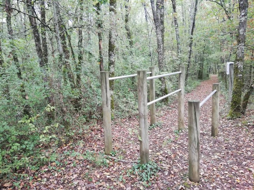 Calisthenics Facility - Claix - Parcours santé Claix (16) - France - Spot