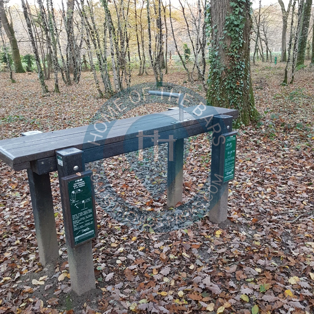 Calisthenics park in Centre d'incendie et de secours de Jouy-le-Potier, Rue de Beaugency, Jouy-le-Potier, Orléans, Loiret, Centre-Val de Loire, France métropolitaine, 45370, France
