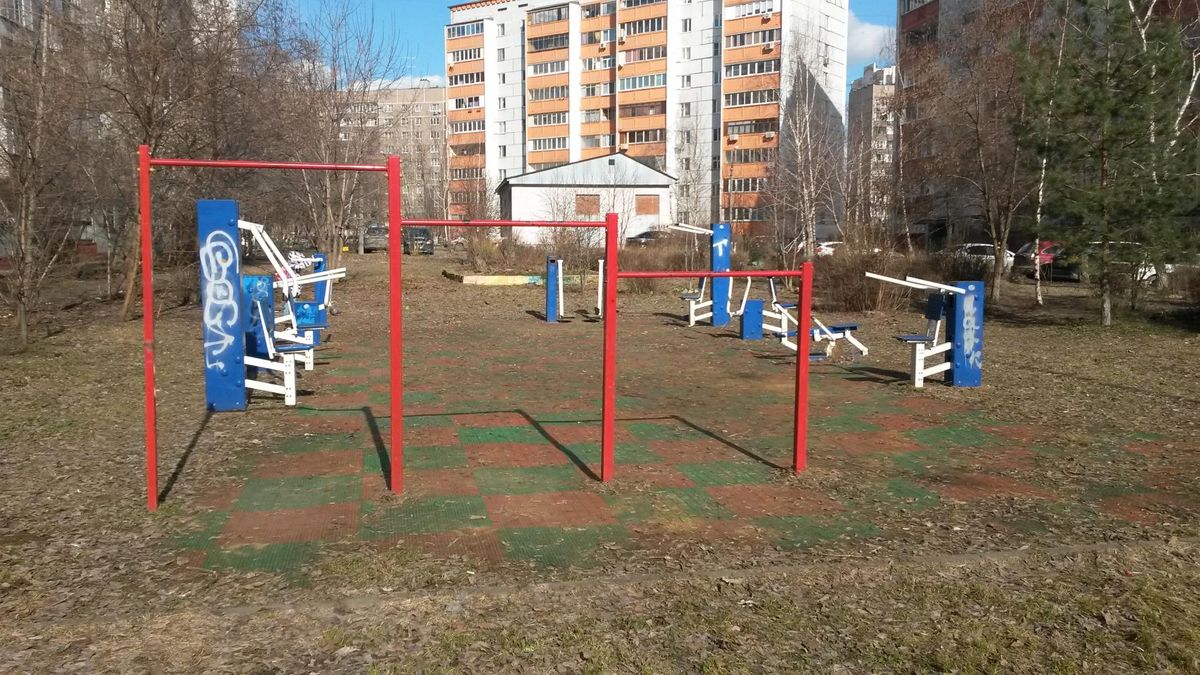 Calisthenics park in 25А, улица Побратимов, Красная горка, Люберцы, городской округ Люберцы, Московская область, Центральный федеральный округ, 140013, Россия