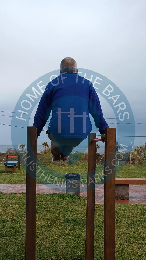 Calisthenics Facility - Manilva - Parque Street Workout Av. de Europa, - countries. - Spot