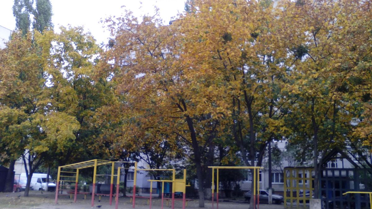 Outdoor Gym - Bila Tserkva - Bila Tserkva - Street Workout Park - Лотос - Ukraine - Spot