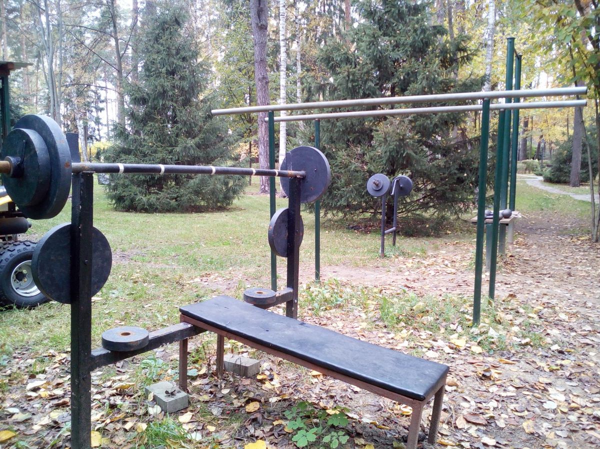 Outdoor Gym - Nazarevskoe - Nazarevskoe - Street Workout Park - Тер Киз Горки-8 - Russia - Spot