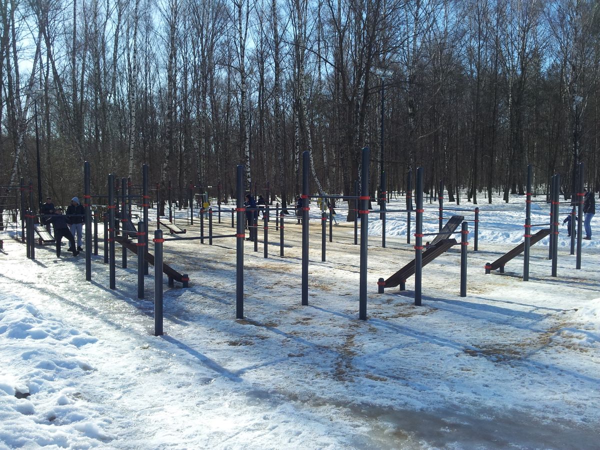 Calisthenics park in 12, улица Академика Виноградова, район Тёплый Стан, Москва, Центральный федеральный округ, 117133, Россия