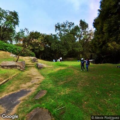 Mexico City - Calisthenics Park - Chapultepec Park - Mexico - Spot