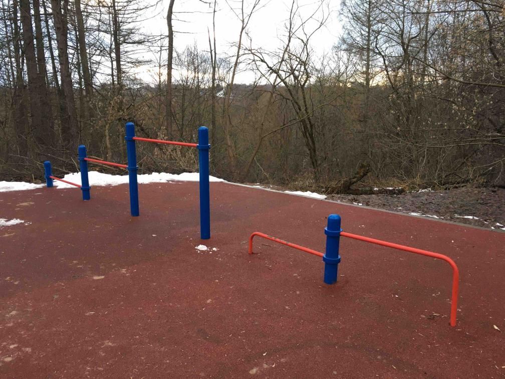 Workout Station - Istra - Istra - Calisthenics Park - Ул Советская - Russia - Spot