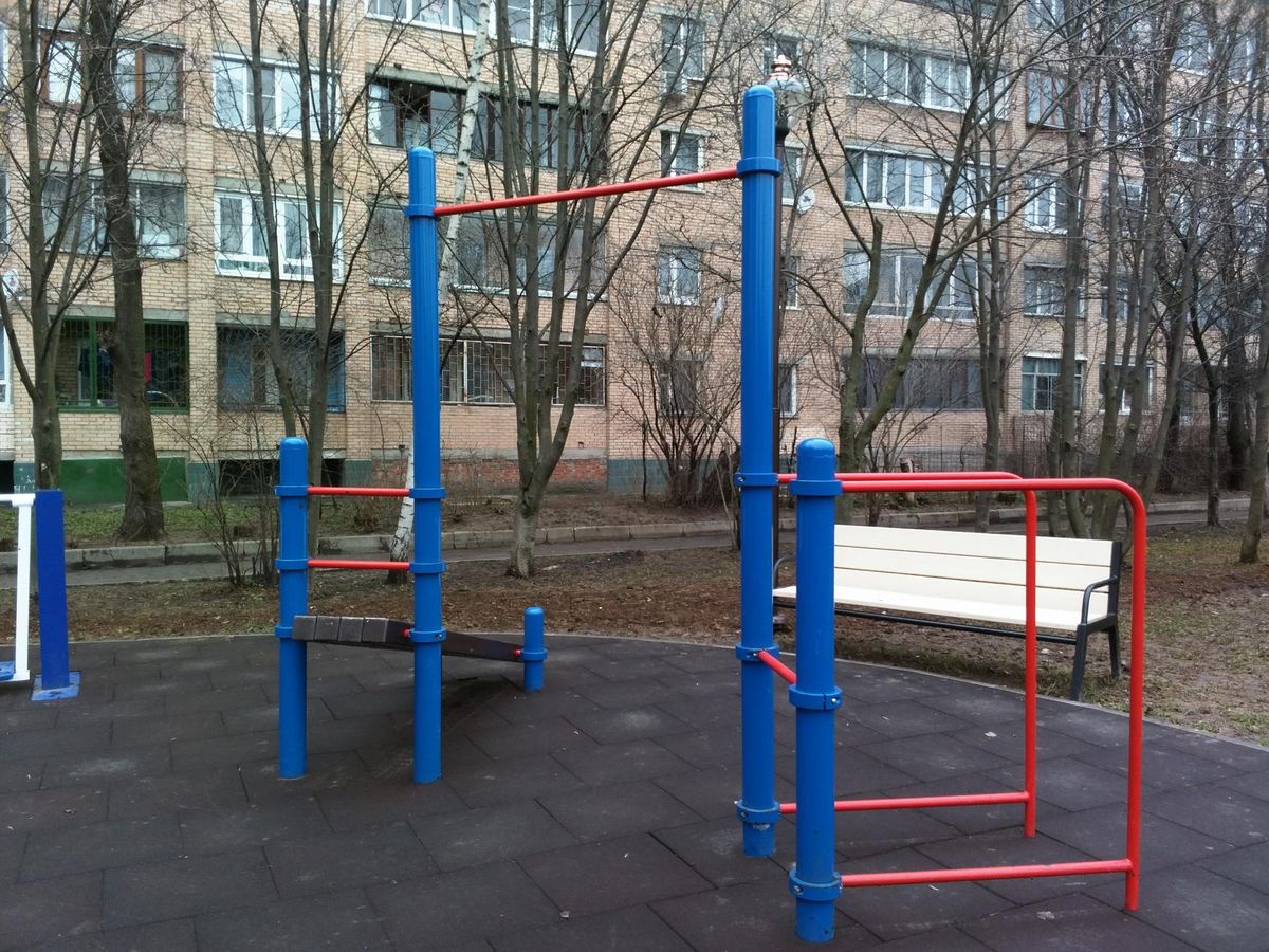 Calisthenics park in Школа №14, Шараповская улица, микрорайон Шараповка, Мытищи, городской округ Мытищи, Московская область, Центральный федеральный округ, 141002, Россия