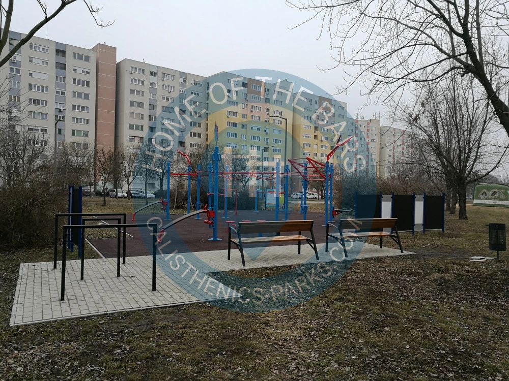 Szolnok - Street Workout Park - Tulip Workoutpark - Hungary - Spot