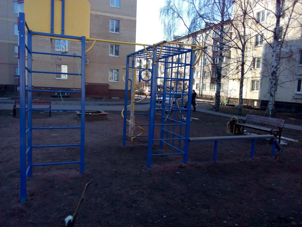Outdoor Gym - Telmanovskoe - Telmanovskoe - Fitness Park - Пятёрочка - Russia - Spot