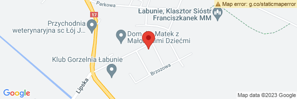 spot maps