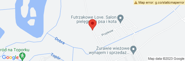 spot maps