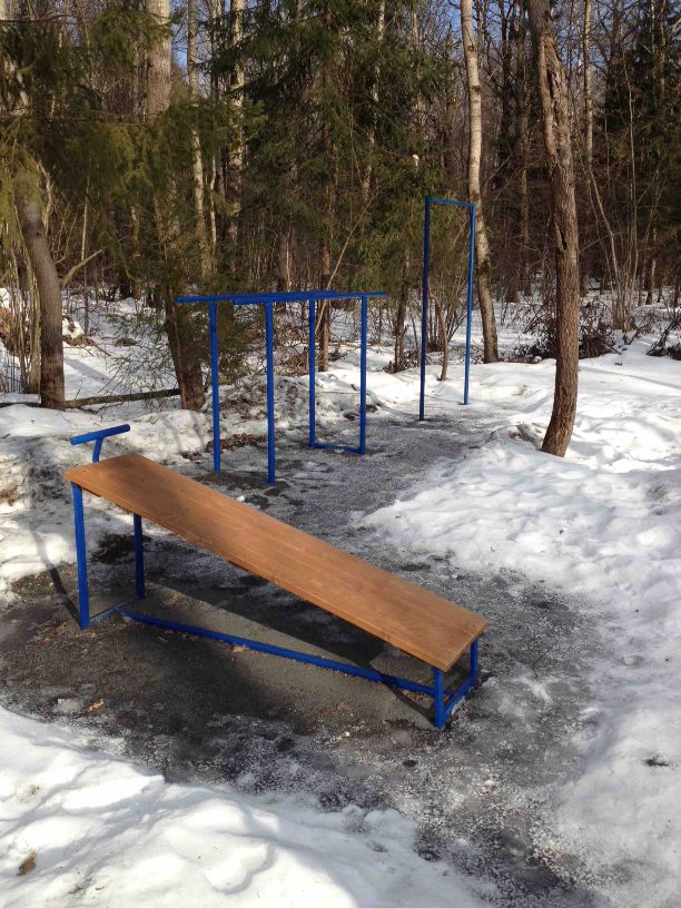 Outdoor Gym - Zhavoronkovskoe - Zhavoronkovskoe - Calisthenics Park - ЖК Перхушково - Russia - Spot