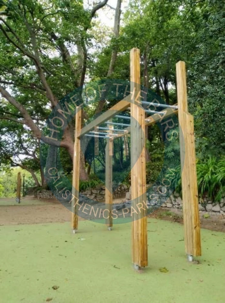 Calisthenics park in Jardins do Palácio de Cristal, Rua de Dom Manuel II, Vilar, Lordelo do Ouro e Massarelos, Porto, 4050-346, Portugal