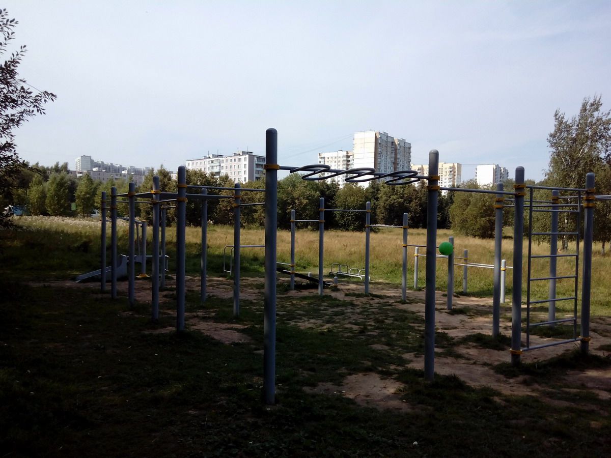 Outdoor Gym - Moscow - Moscow - Street Workout Park - Битцевская Аллея - Russia - Spot