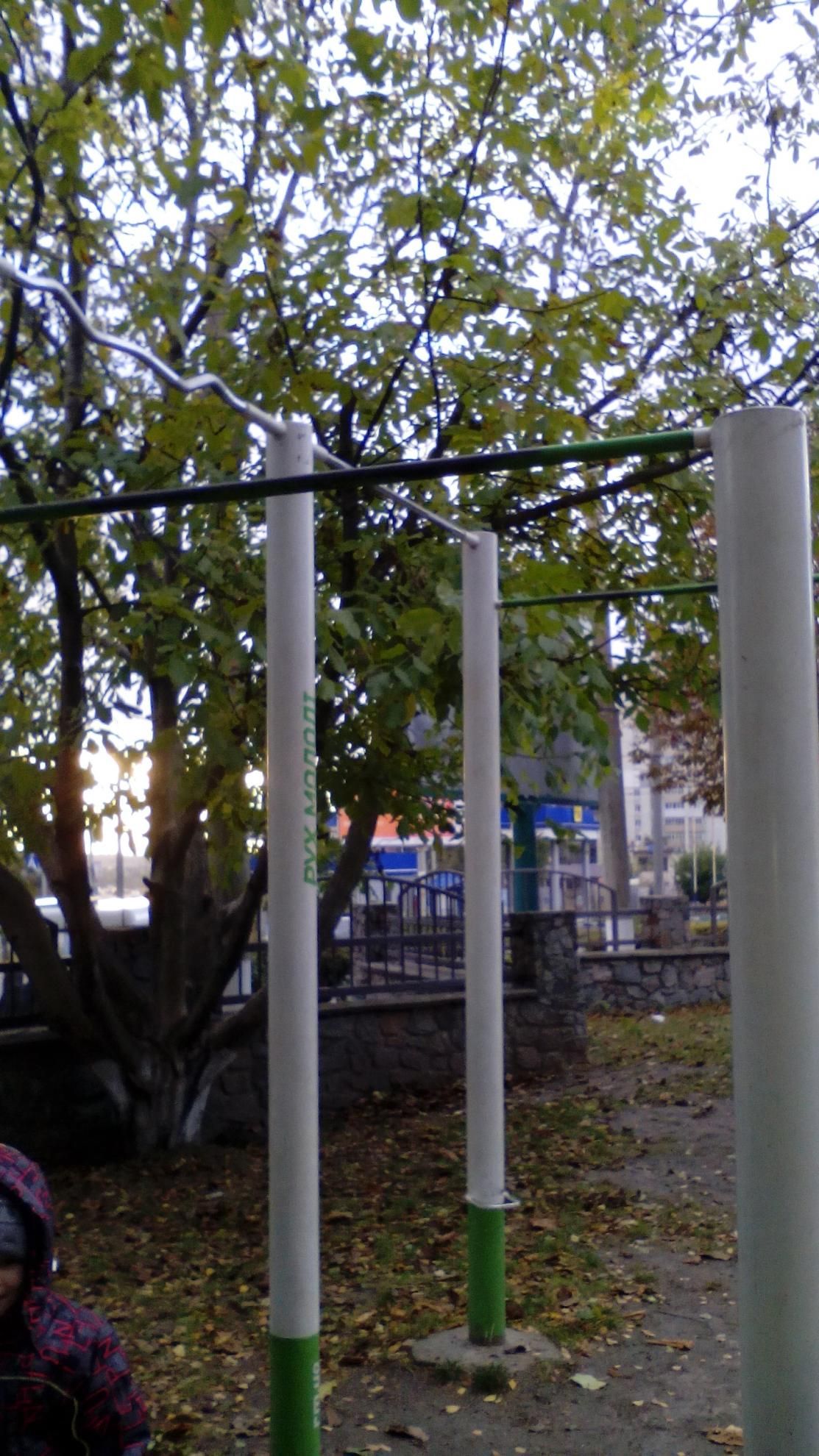 Calisthenics park in Малина, проспект Незалежності, Ярмоли, Леваневського масив, Біла Церква, Білоцерківська міська громада, Білоцерківський район, Київська область, 09108, Україна