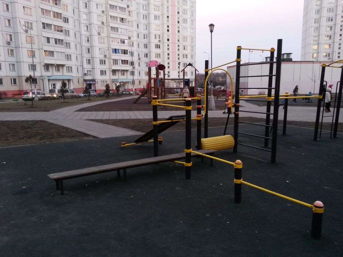 Calisthenics park in Школа № 1354 "Вектор". Лабораторный корпус, 34 к3, Изюмская улица, Бутово, район Южное Бутово, Москва, Центральный федеральный округ, 117624, Россия
