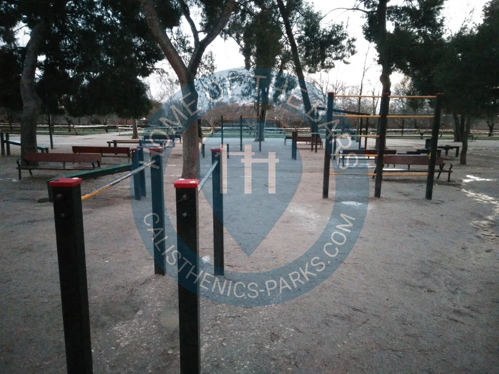 Calisthenics park in Pino laricio, Paseo de Fernán Núñez, Jerónimos, Retiro, Madrid, Comunidad de Madrid, 28009, España