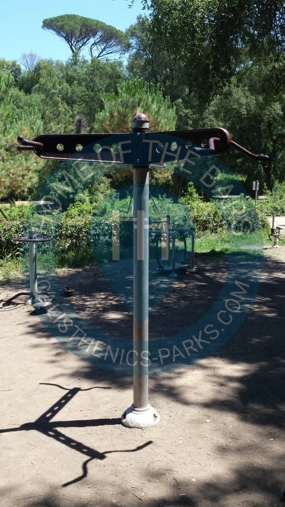 Calisthenics park in Viale Francesco Luigi Ferrari, Parioli, Municipio Roma II, Roma, Roma Capitale, Lazio, 00199, Italia