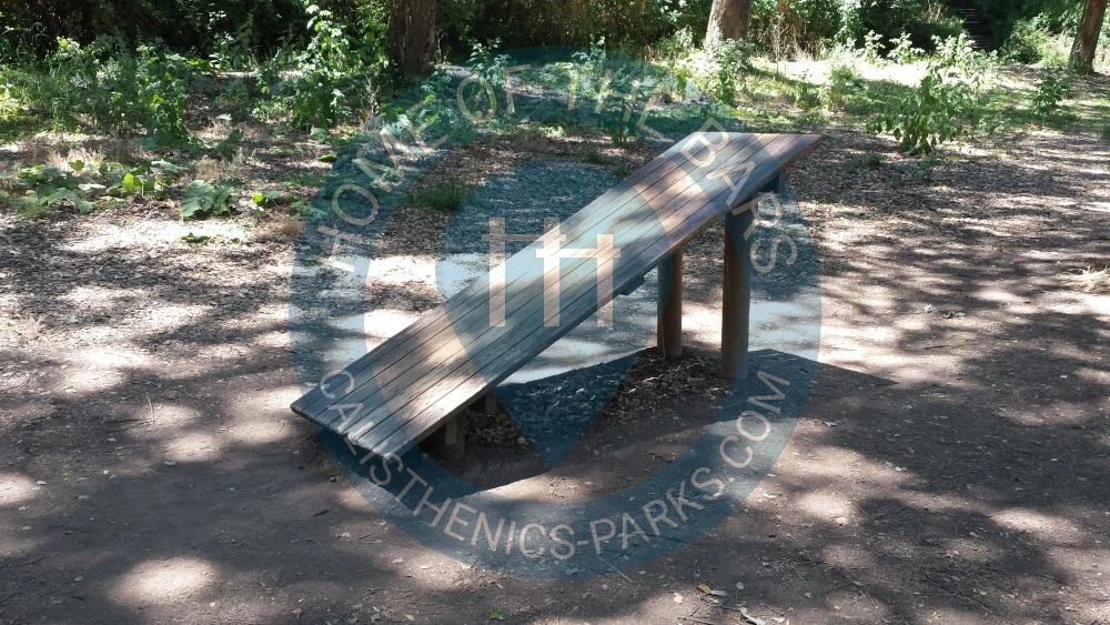 Calisthenics park in Viale Francesco Luigi Ferrari, Parioli, Municipio Roma II, Roma, Roma Capitale, Lazio, 00199, Italia