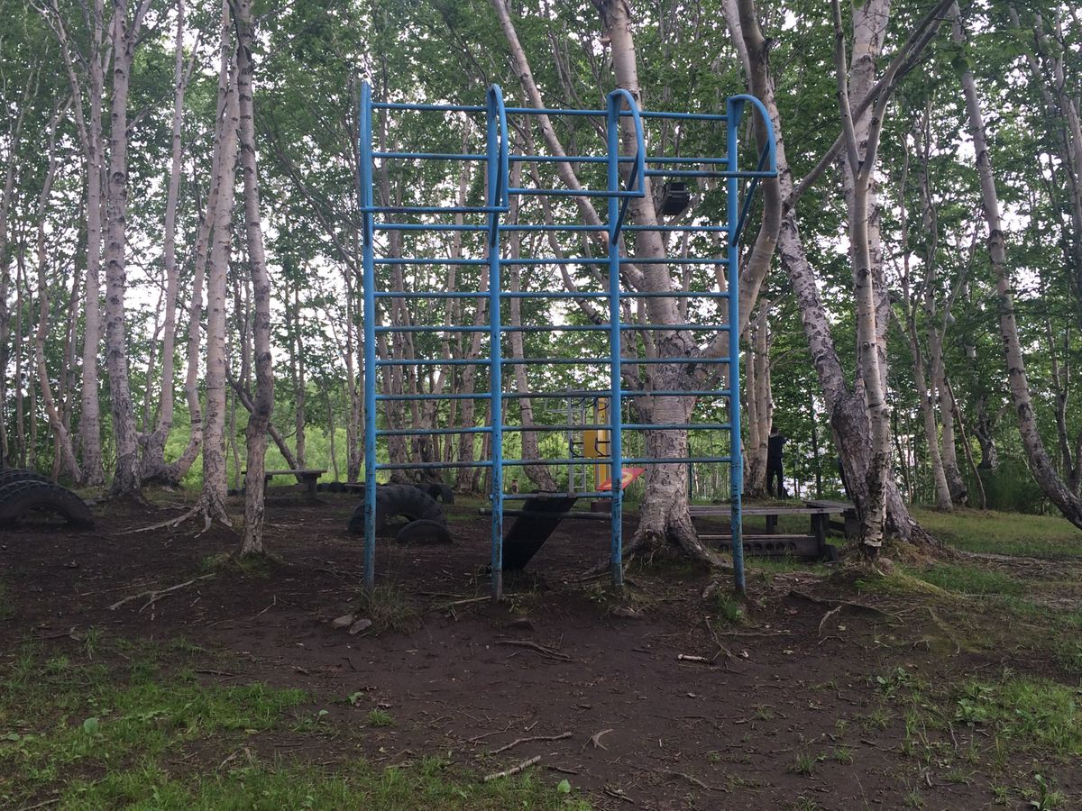 Outdoor Gym - Petropavlovsk-Kamchatsky - Petropavlovsk-Kamchatsky - Street Workout Park - Биатлонный Спорткомплекс Лесная - Russia - Spot