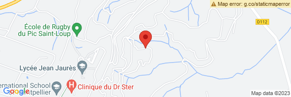 spot maps