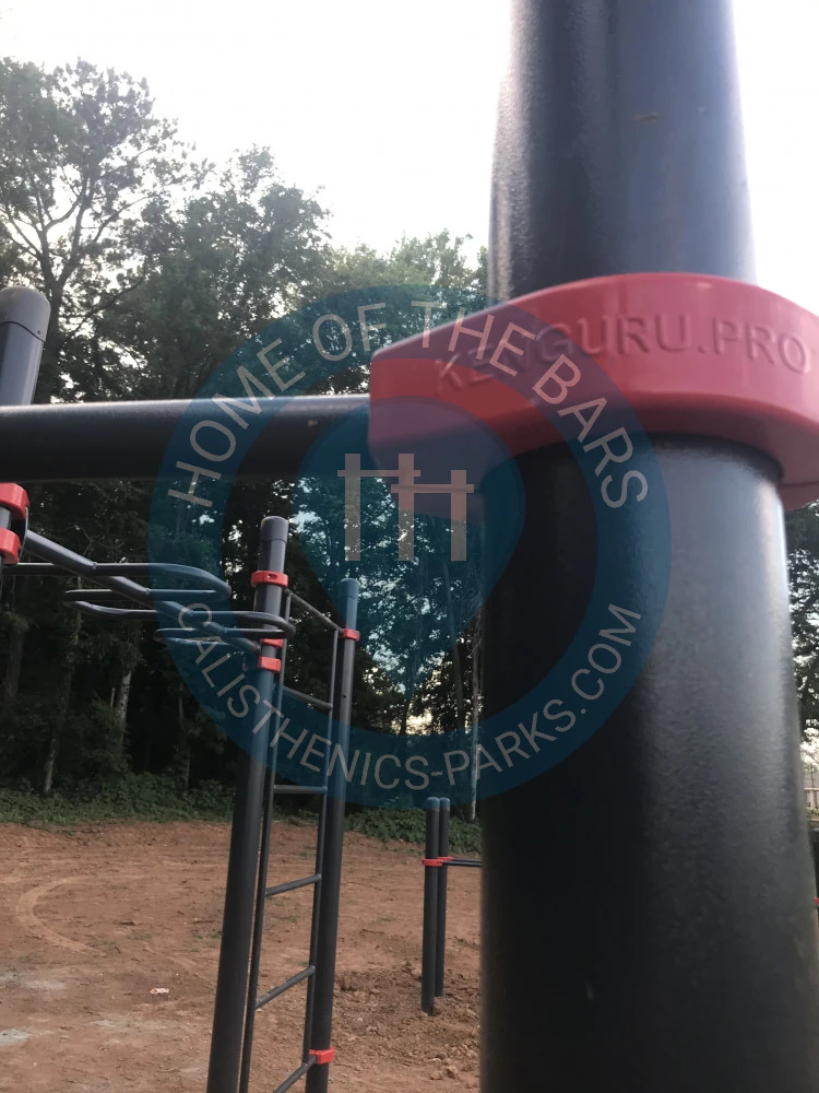 Calisthenics Gym - Madison - Monrovia Calisthenics Park - United States - Spot