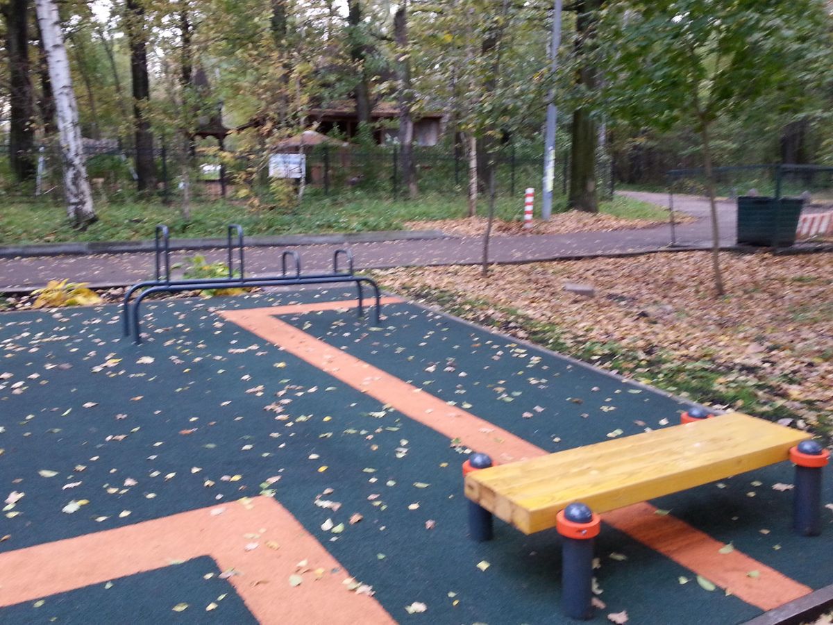 Calisthenics park in Школа №1430, Угличская улица, 2-й микрорайон Лианозово, район Лианозово, Москва, Центральный федеральный округ, 127572, Россия
