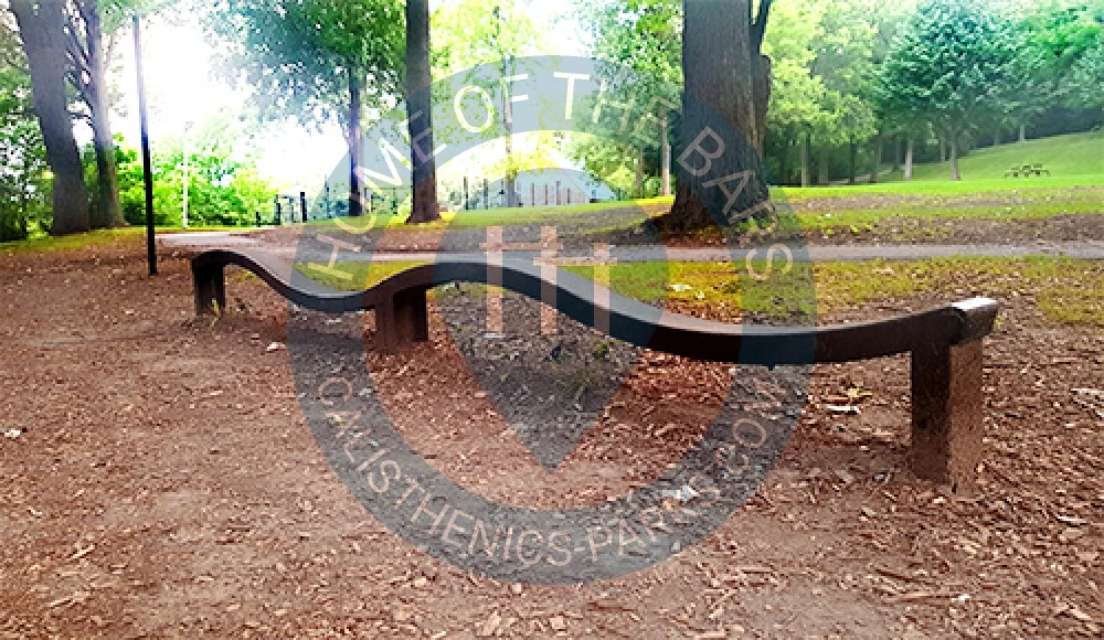 Calisthenics park in Migration, Chemin du Tour-de-l'Isle, Ville-Marie, Montréal, Agglomération de Montréal, Montréal (région administrative), Québec, H3C 6A3, Canada