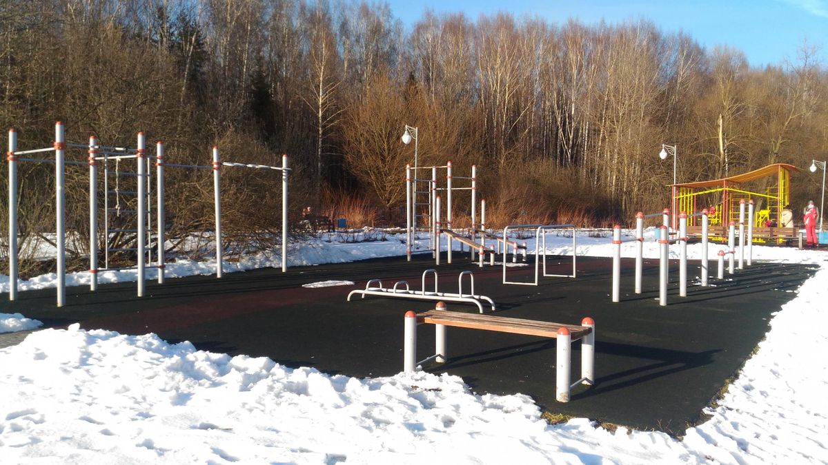 Calisthenics park in к1013Г, Филаретовская улица, 10-й микрорайон, район Силино, Зеленоград, Москва, Центральный федеральный округ, 124305, Россия