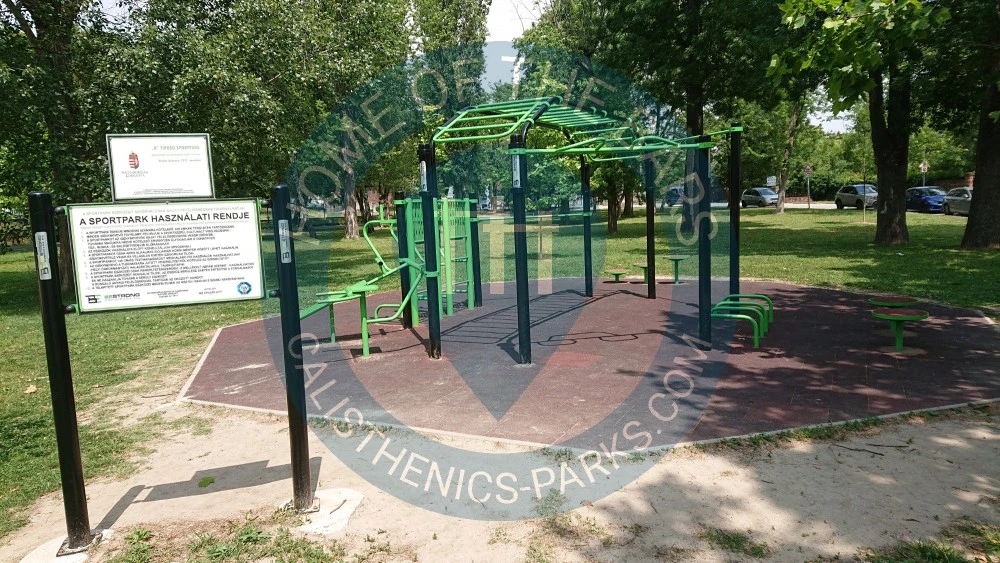 Calisthenics Stations - Balatonalmádi - Balatonalmádi - dock - Hungary - Spot