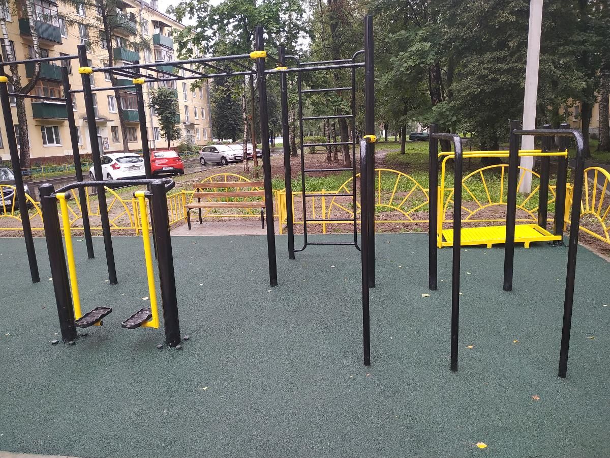 Calisthenics park in 51, улица Ленина, Южный, Лобня, Московская область, Центральный федеральный округ, 141732, Россия