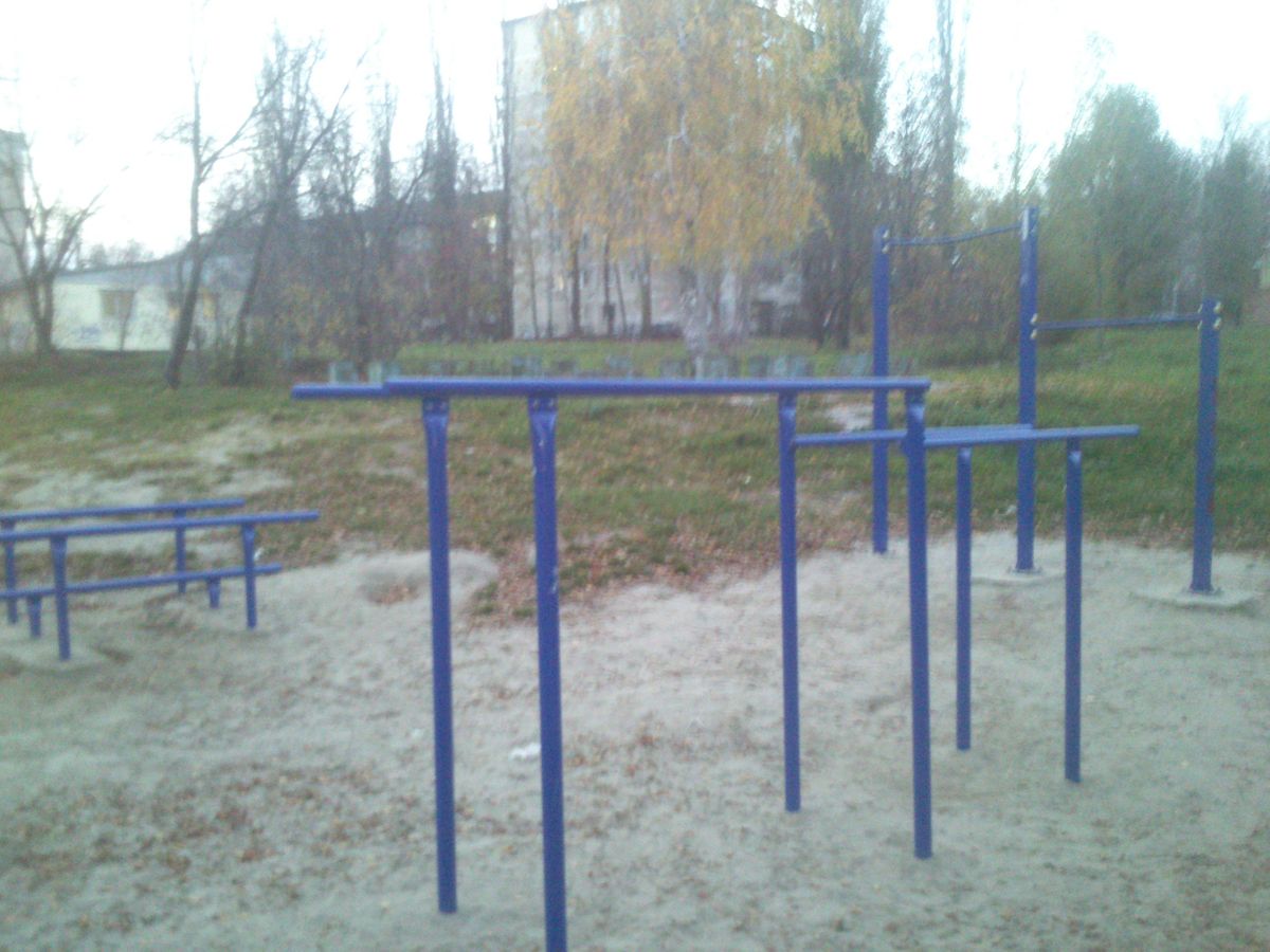 Outdoor Gym - Kyiv - Kyiv - Calisthenics Park - Школа №46 - Ukraine - Spot