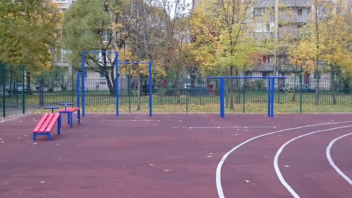Calisthenics park in 82 к1, проспект Луначарского, округ Северный, Санкт-Петербург, Северо-Западный федеральный округ, 195274, Россия