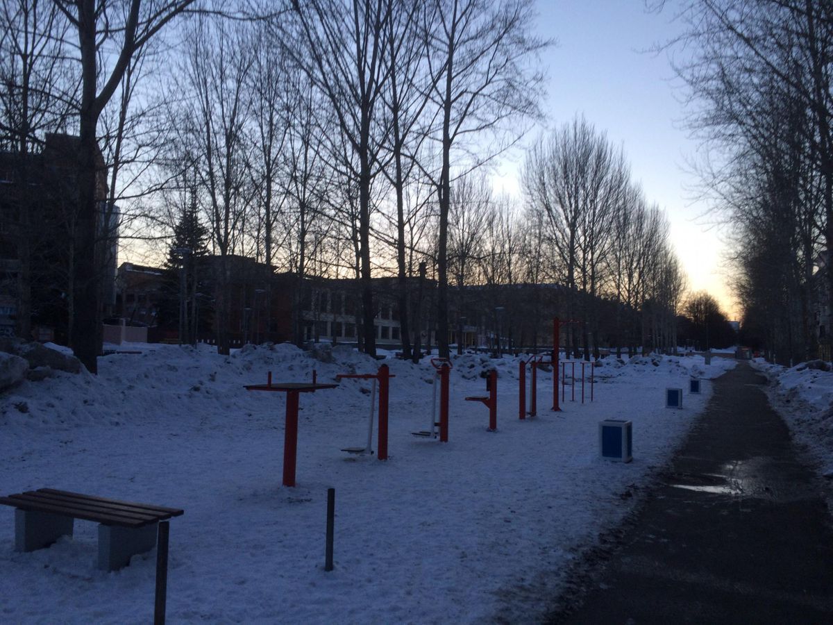 Outdoor Gym - Yekaterinburg - Yekaterinburg - Street Workout Park - Гимназия №144 - Russia - Spot
