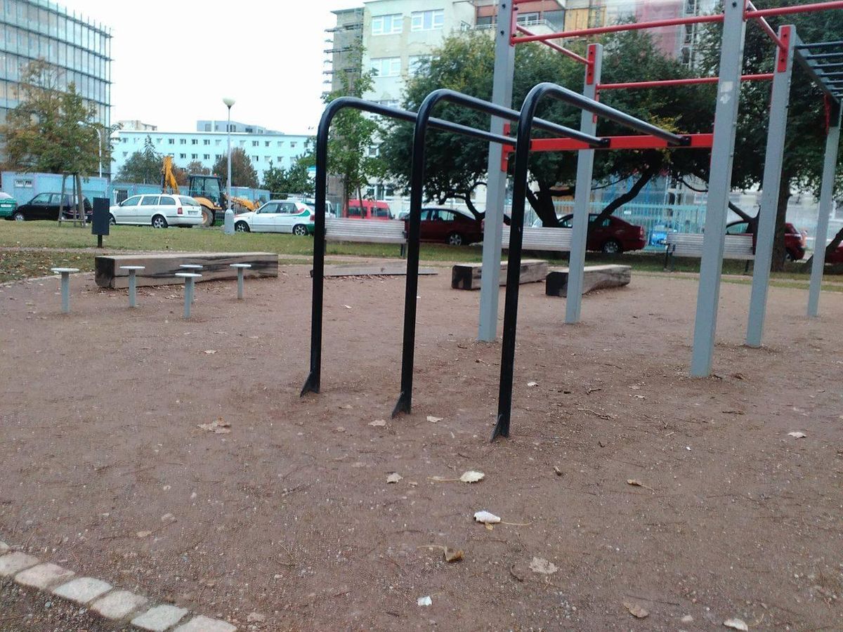 Brno - Calisthenics Park - Bjornsonuv sad - Czech Republic - Spot