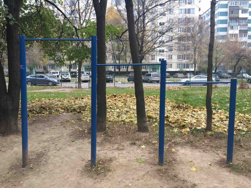 Calisthenics park in Школа №937, Шипиловская улица, район Орехово-Борисово Северное, Москва, Центральный федеральный округ, 115551, Россия