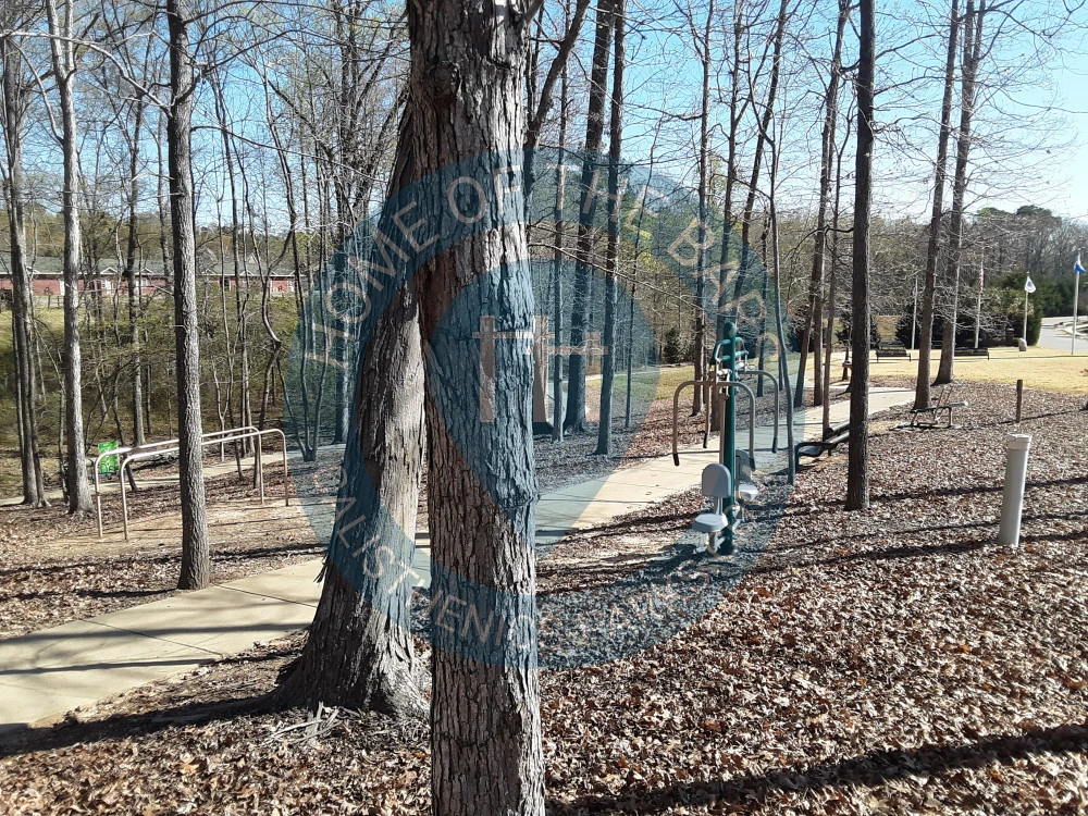 Columbia - Calisthenics Stations - Palmetto Park - United States - Spot