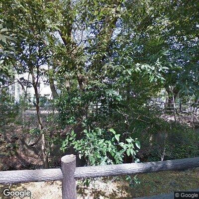 Tokyo - Calisthenics Equipment - Inokashira Park Athletic Field - Japan - Spot