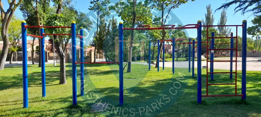 Calisthenics park in Colegio de Educación Infantil y Primaria Tomás Romojaro, Avenida Lope de Vega, Urbanización El Caballero, Olmedo, Valladolid, Castilla y León, 47410, España