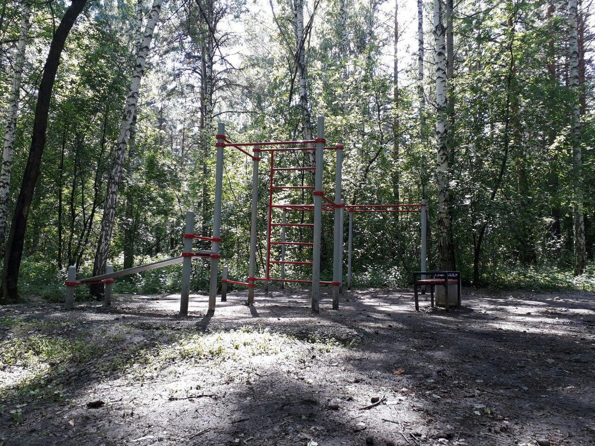Outdoor fitness training - Yekaterinburg - Calisthenics workout - Russia - Spot
