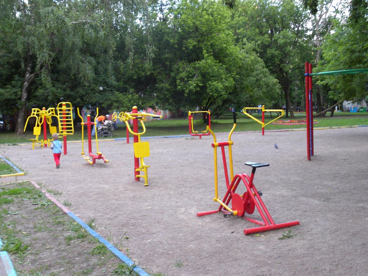 Calisthenics park in 45, улица Архитектора Власова, Обручевский район, Москва, Центральный федеральный округ, 117393, Россия