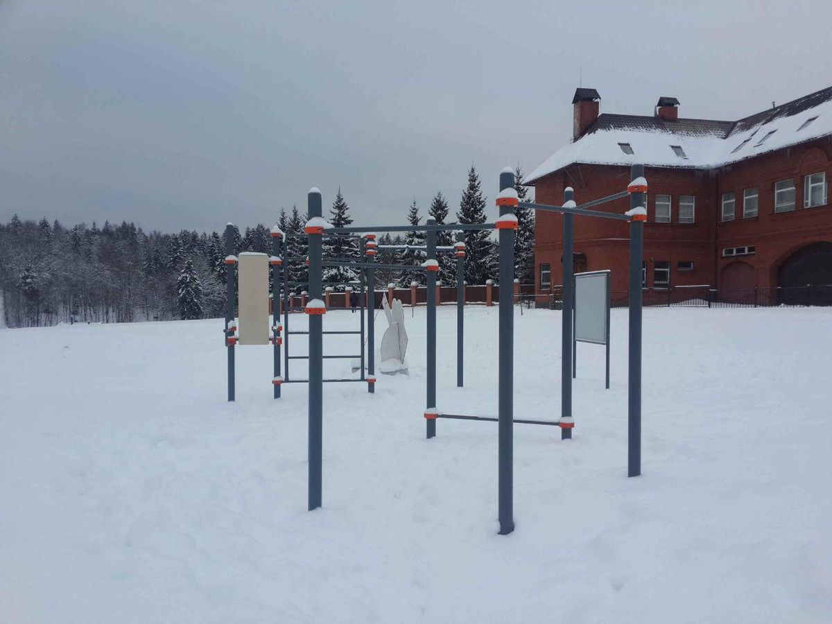Outdoor Gym - Novopetrovskoe - Novopetrovskoe - Aire de Fitness - Лыжероллерная Трасса Головино - Russia - Spot