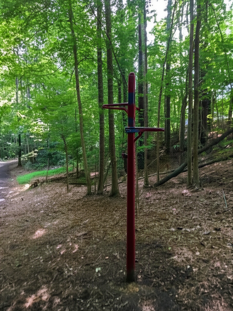 Calisthenics park in Pullup Bars, Research Drive, Cary, Wake County, North Carolina, 27512, United States