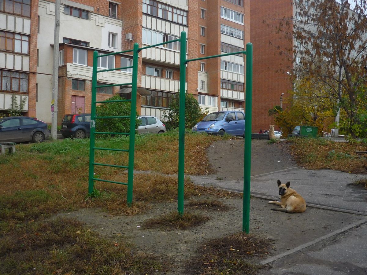 Outdoor Gym - Penza - Penza - Street Workout Park - МЕД Центр УЗИ - Russia - Spot