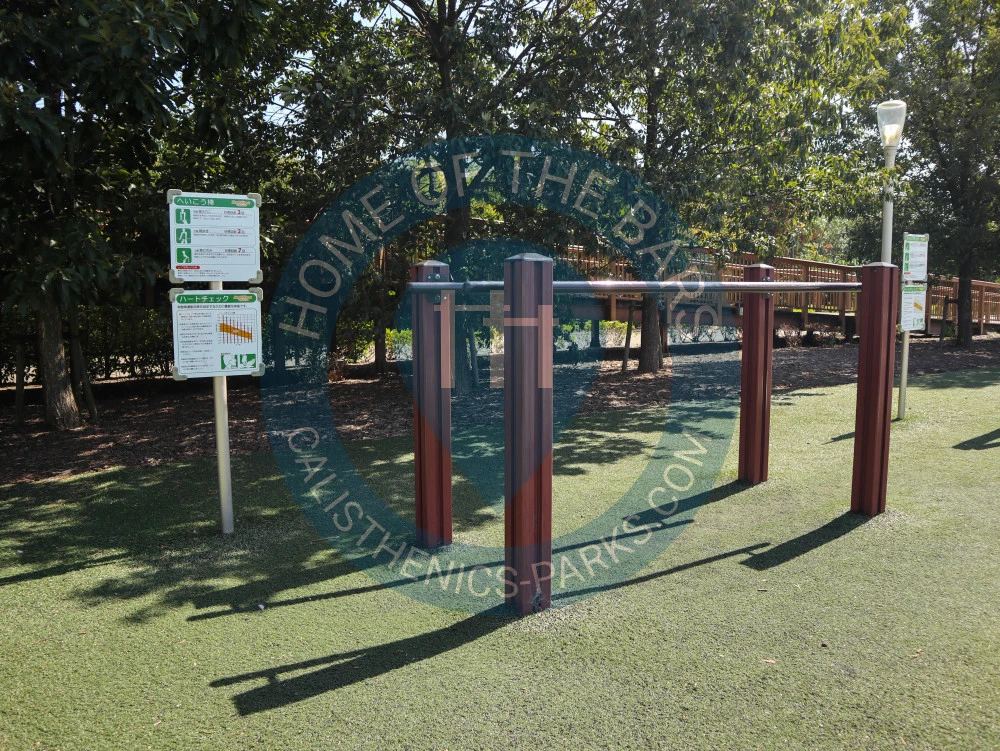 Calisthenics park in 本郷町一丁目, 碧南市, 愛知県, 475-0803, 日本