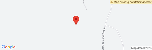 spot maps