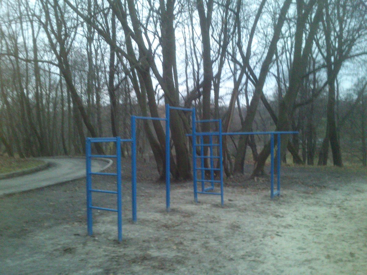 Outdoor Gym - Kyiv - Kyiv - Calisthenics Park - Дитячий Майданчик  Карапуз - Ukraine - Spot