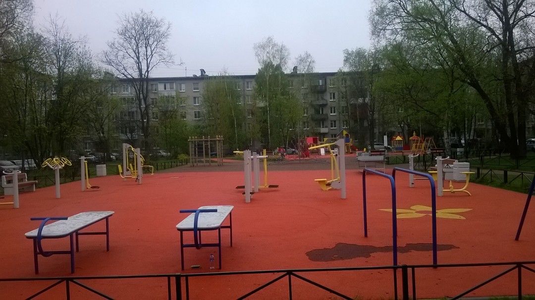 Calisthenics park in 5 к1, улица Братьев Горкушенко, Петергоф, Санкт-Петербург, Северо-Западный федеральный округ, 198516, Россия